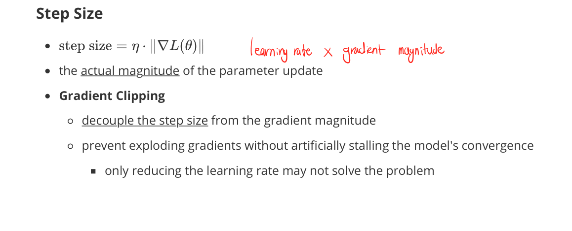 Step Size & Gradient Clipping